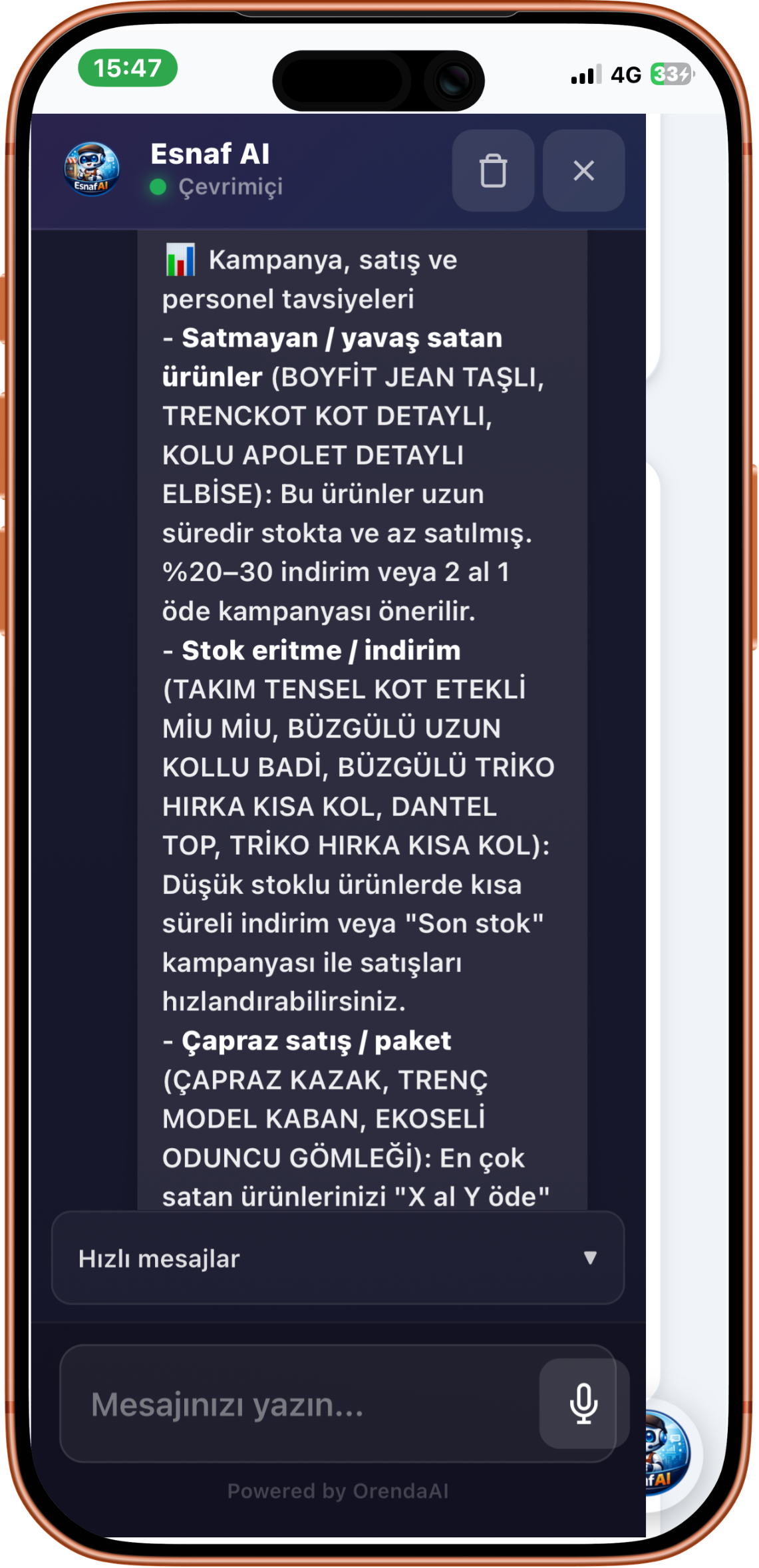 Esnaf AI: yapay zeka asistan sohbet ekranı